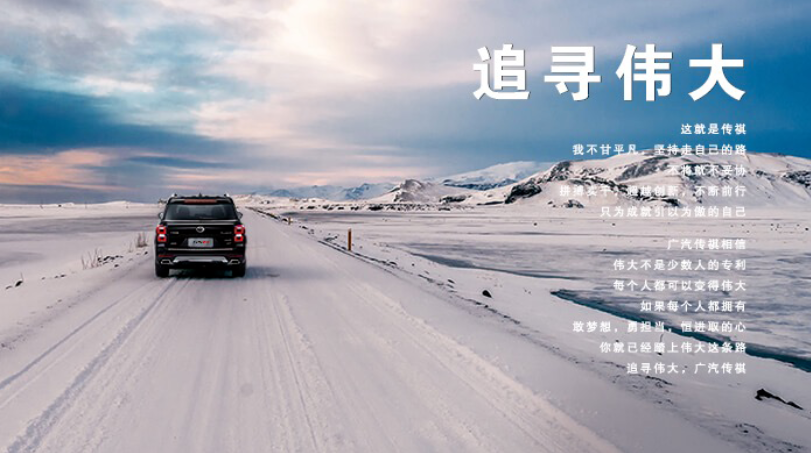 专属方案|打造智慧车企，新开普助力世界500强数字化转型！(图1)